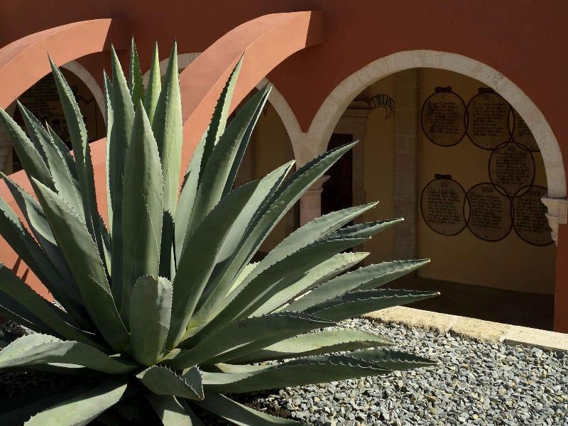 Ibis Aguascalientes Norte Εξωτερικό φωτογραφία